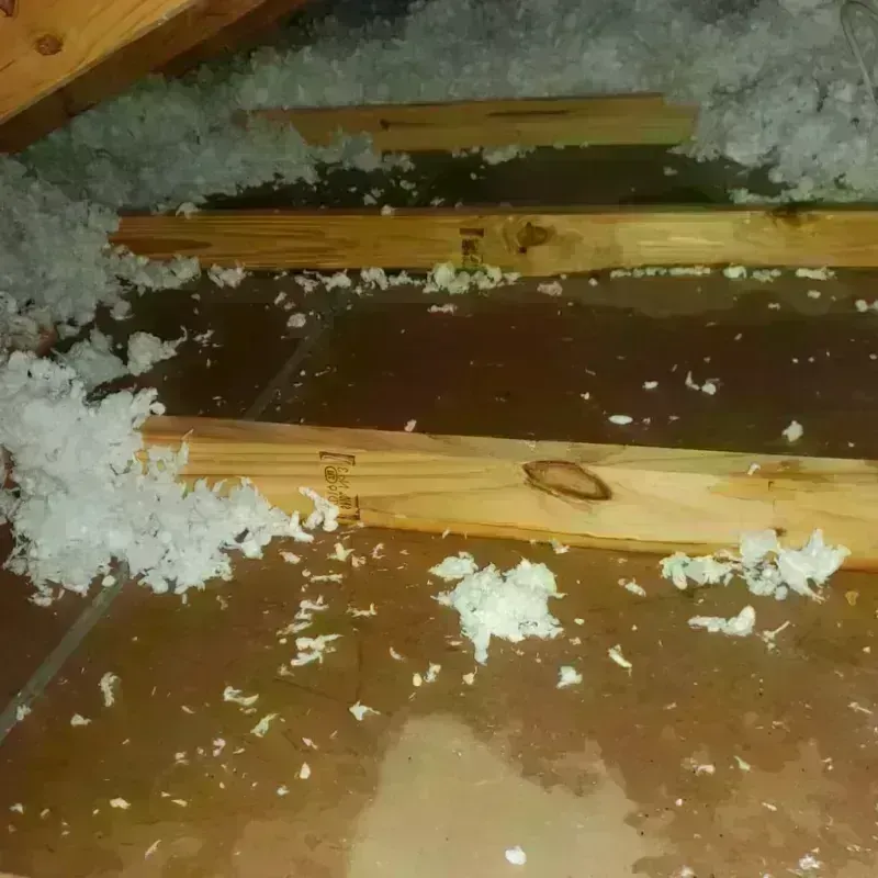 Attic Water Damage in Monroe, GA