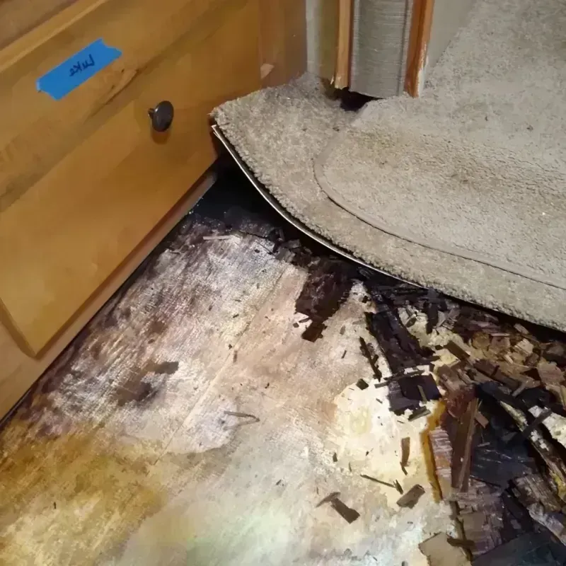 Wood Floor Water Damage in Monroe, GA